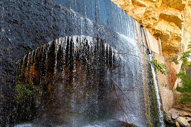 fuente de los tilos